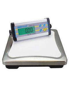 Bench Scales and Floor Scale
