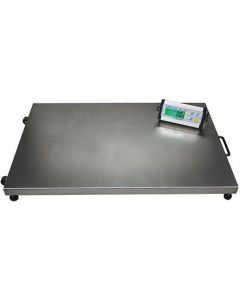 Bench Scales and Floor Scale