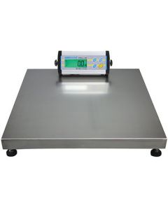 Bench Scales and Floor Scale